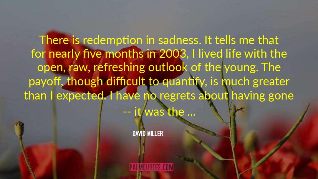 David Miller Quotes: There is redemption in sadness.