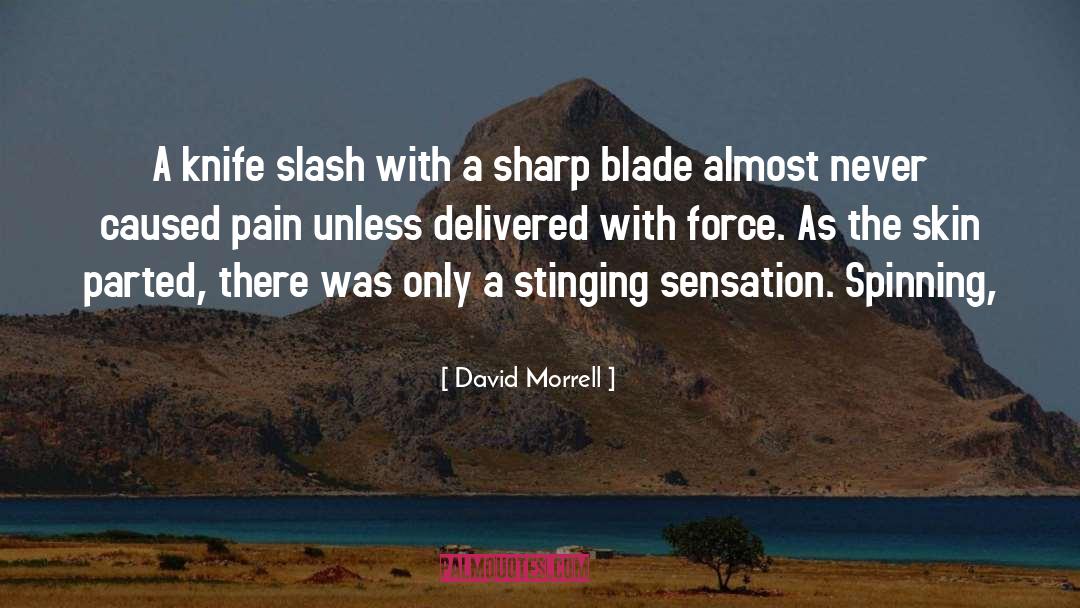 David Morrell Quotes: A knife slash with a