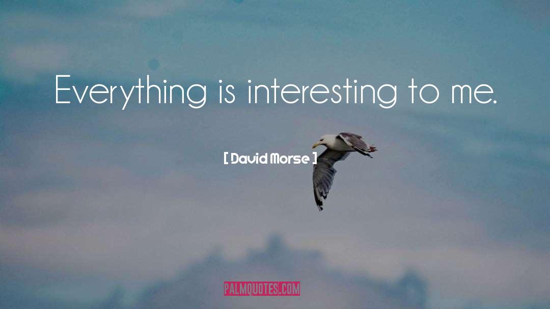 David Morse Quotes: Everything is interesting to me.