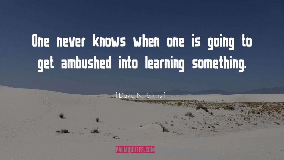David N. Perkins Quotes: One never knows when one