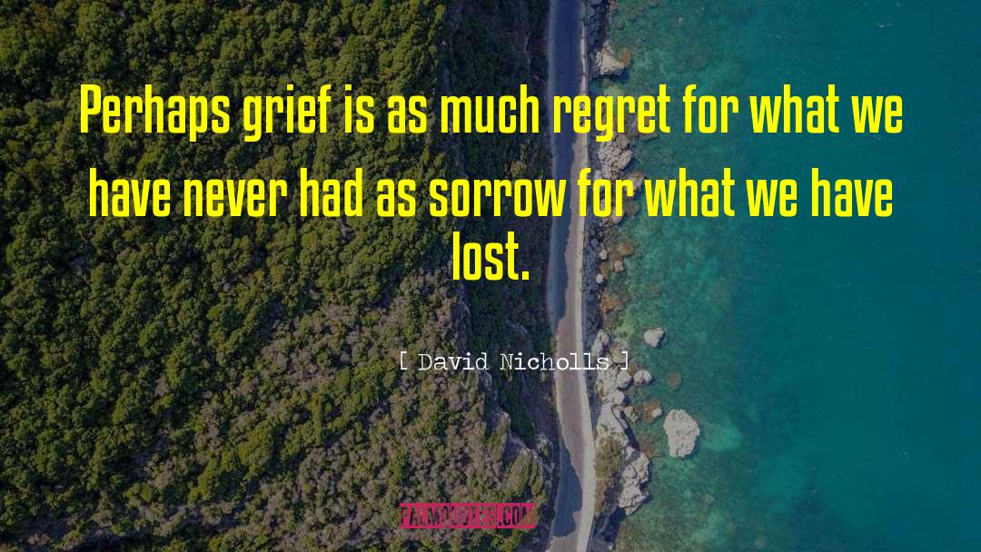 David Nicholls Quotes: Perhaps grief is as much