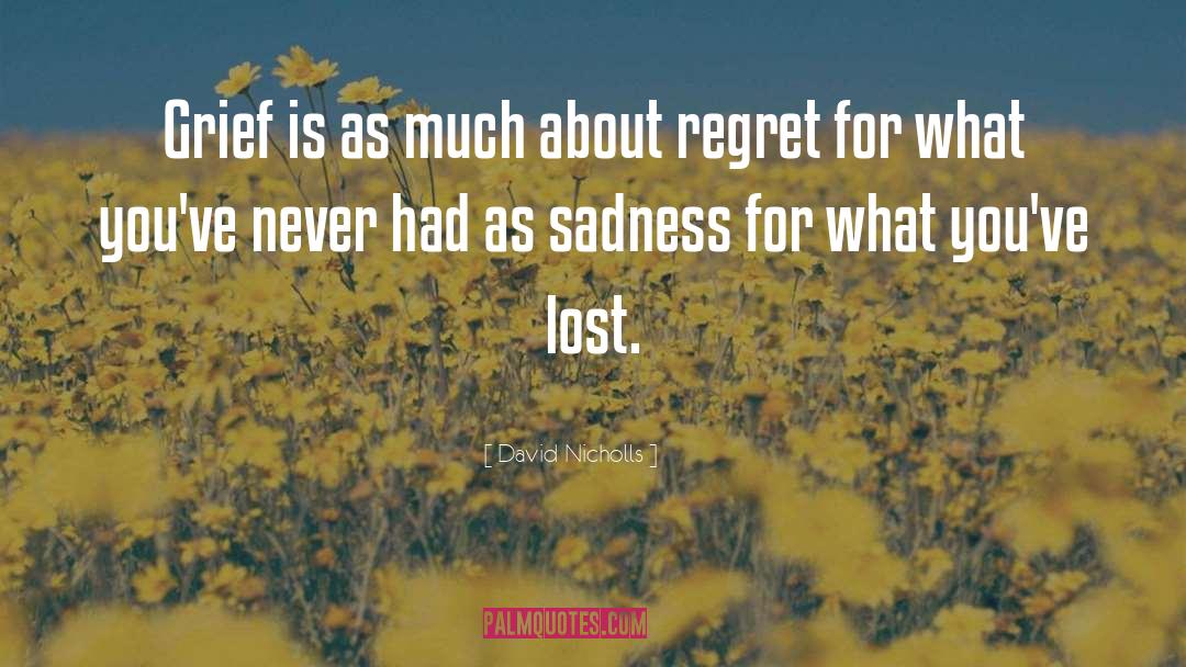 David Nicholls Quotes: Grief is as much about