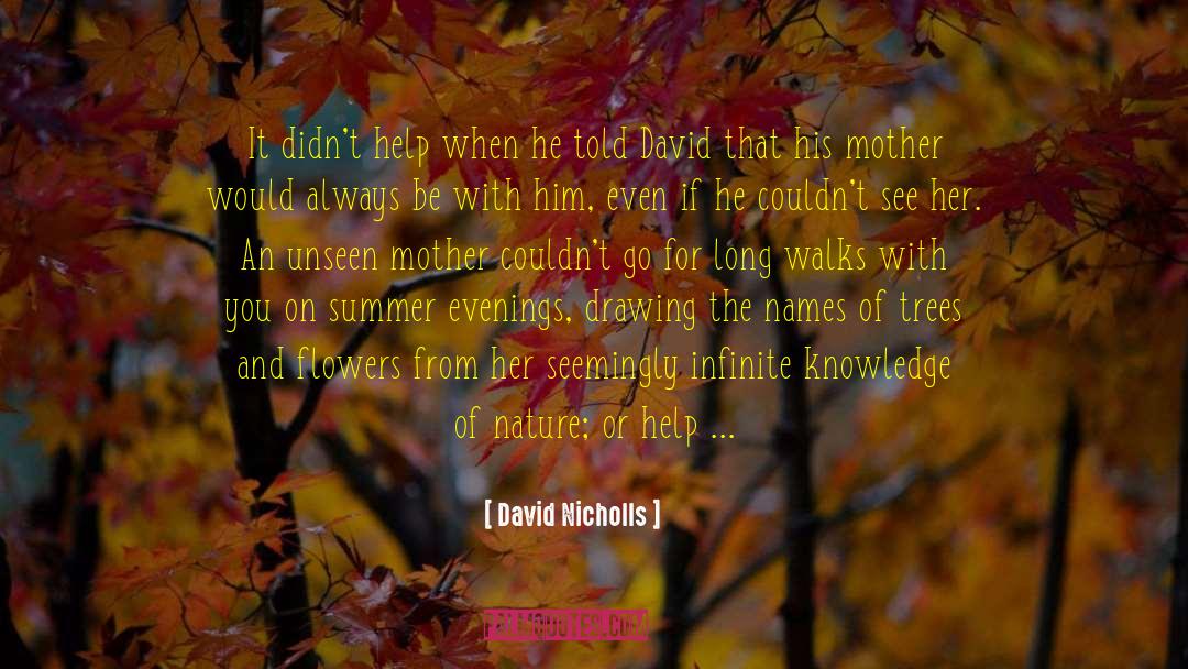 David Nicholls Quotes: It didn't help when he