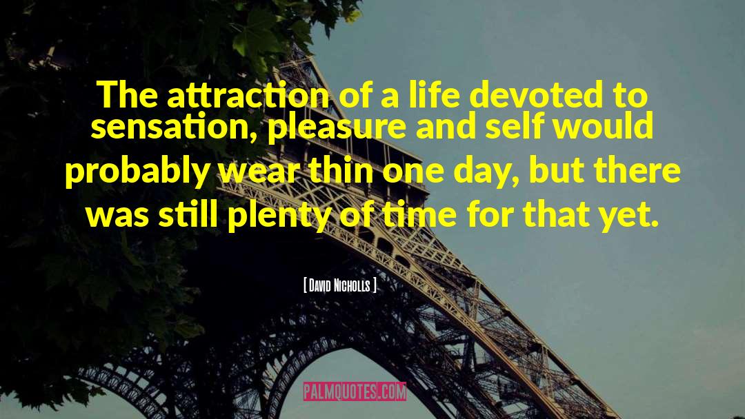 David Nicholls Quotes: The attraction of a life