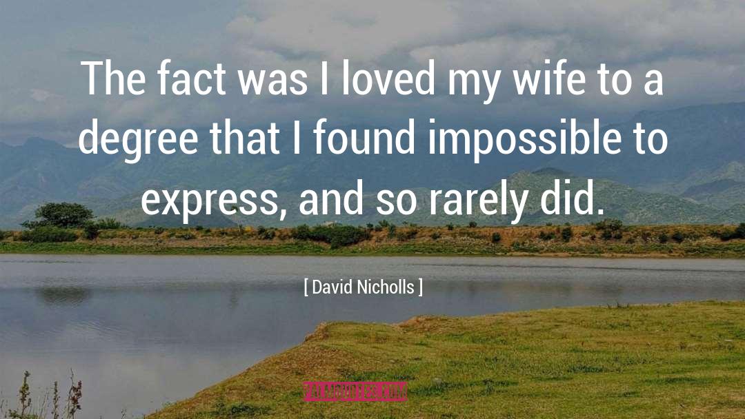 David Nicholls Quotes: The fact was I loved
