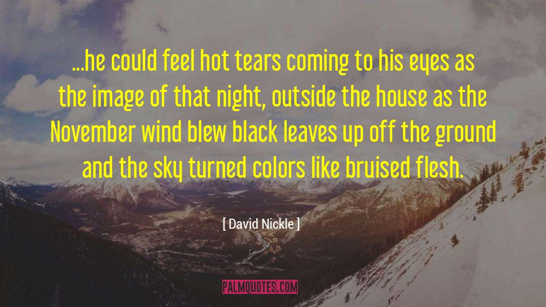 David Nickle Quotes: ...he could feel hot tears