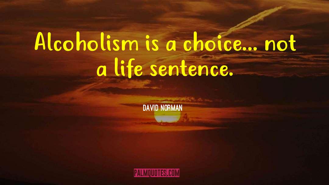 David Norman Quotes: Alcoholism is a choice... not