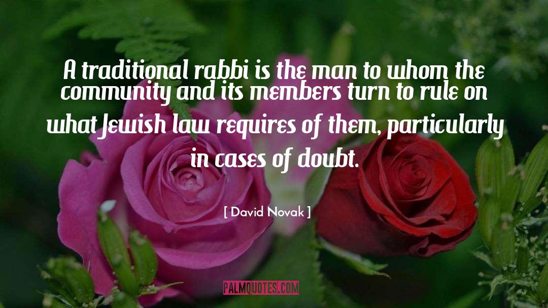 David Novak Quotes: A traditional rabbi is the