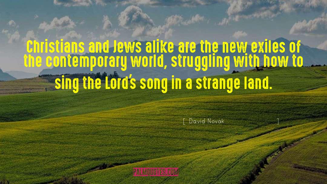 David Novak Quotes: Christians and Jews alike are