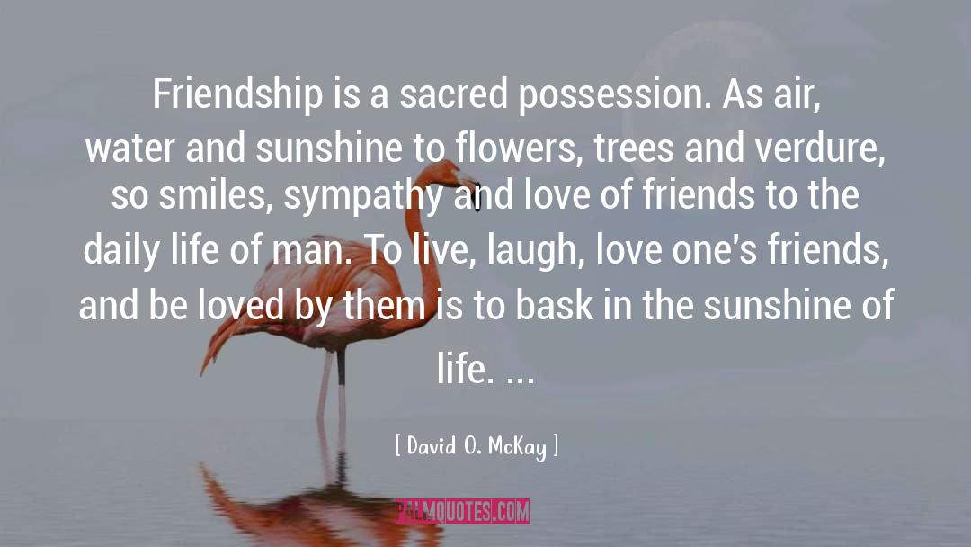 David O. McKay Quotes: Friendship is a sacred possession.