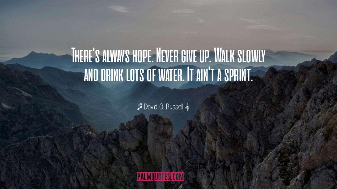 David O. Russell Quotes: There's always hope. Never give