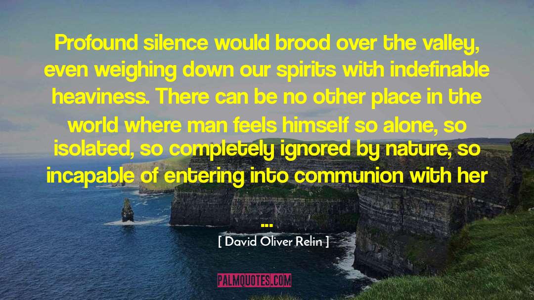 David Oliver Relin Quotes: Profound silence would brood over