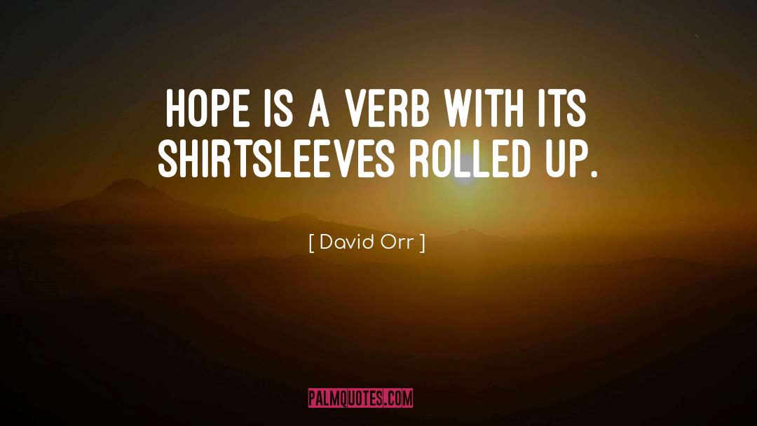 David Orr Quotes: Hope is a verb with