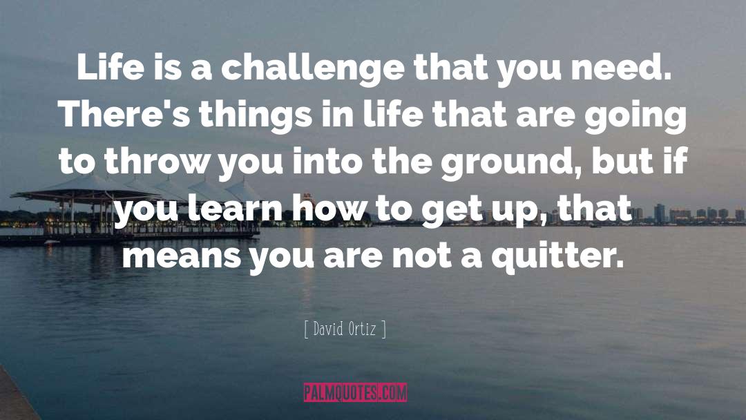 David Ortiz Quotes: Life is a challenge that