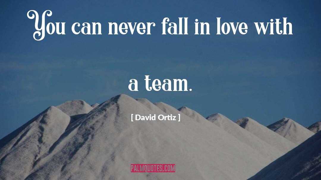 David Ortiz Quotes: You can never fall in