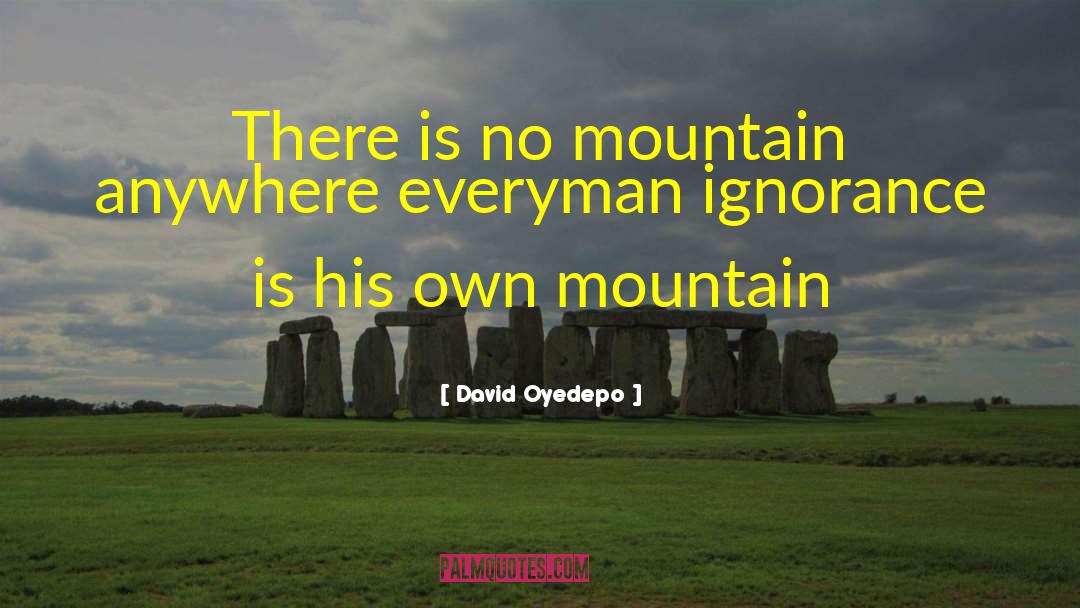 David Oyedepo Quotes: There is no mountain anywhere