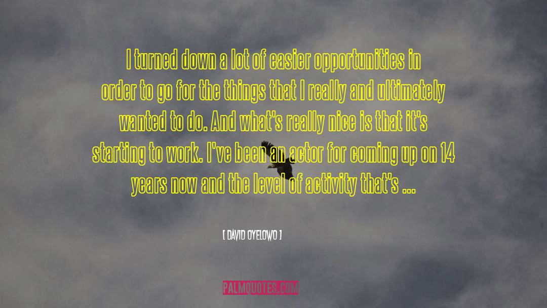 David Oyelowo Quotes: I turned down a lot