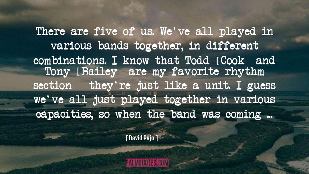 David Pajo Quotes: There are five of us.