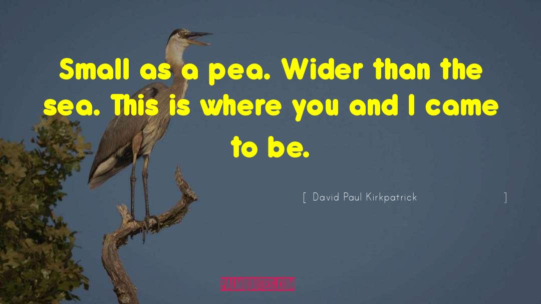 David Paul Kirkpatrick Quotes: Small as a pea. Wider