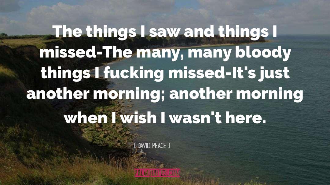 David Peace Quotes: The things I saw and