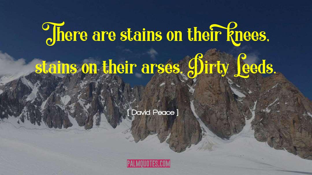 David Peace Quotes: There are stains on their
