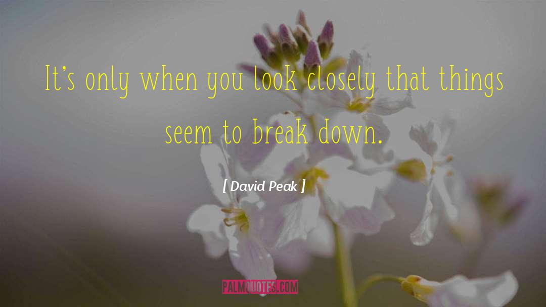 David Peak Quotes: It's only when you look