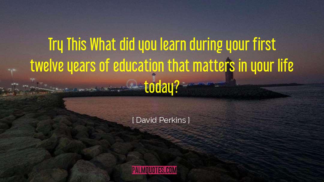 David Perkins Quotes: Try This What did you