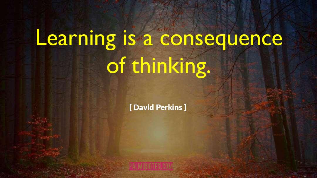 David Perkins Quotes: Learning is a consequence of