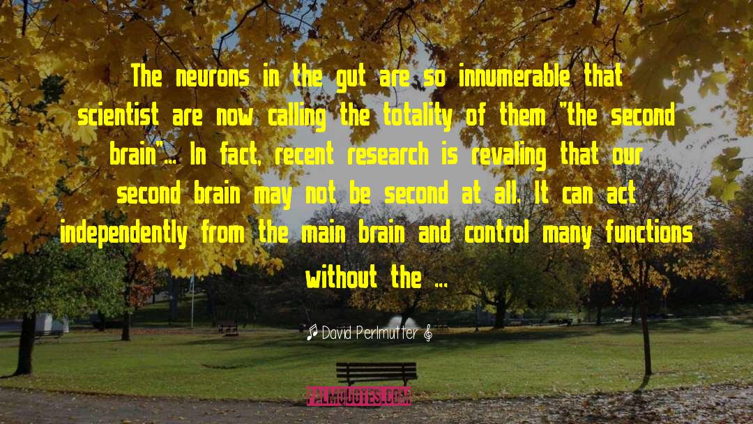 David Perlmutter Quotes: The neurons in the gut