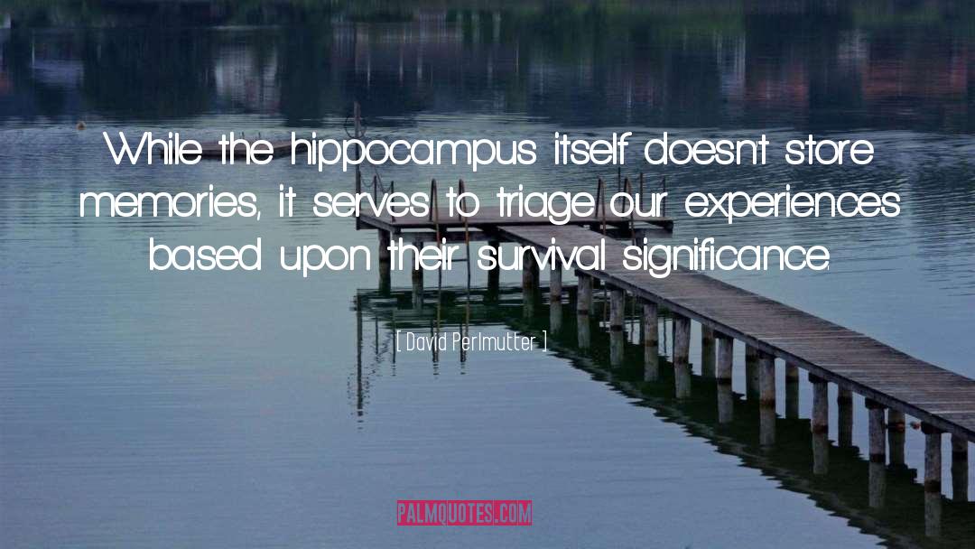 David Perlmutter Quotes: While the hippocampus itself doesn't