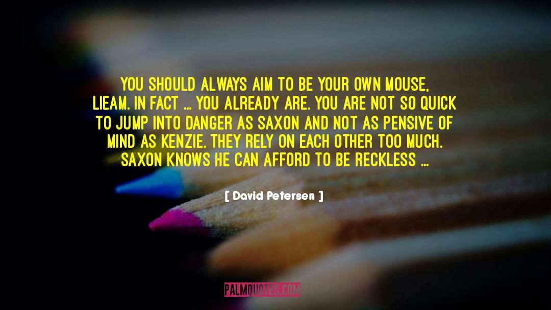 David Petersen Quotes: You should always aim to