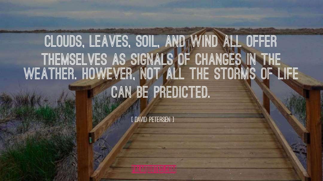 David Petersen Quotes: Clouds, leaves, soil, and wind