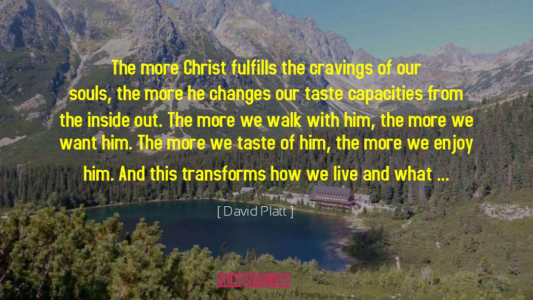 David Platt Quotes: The more Christ fulfills the