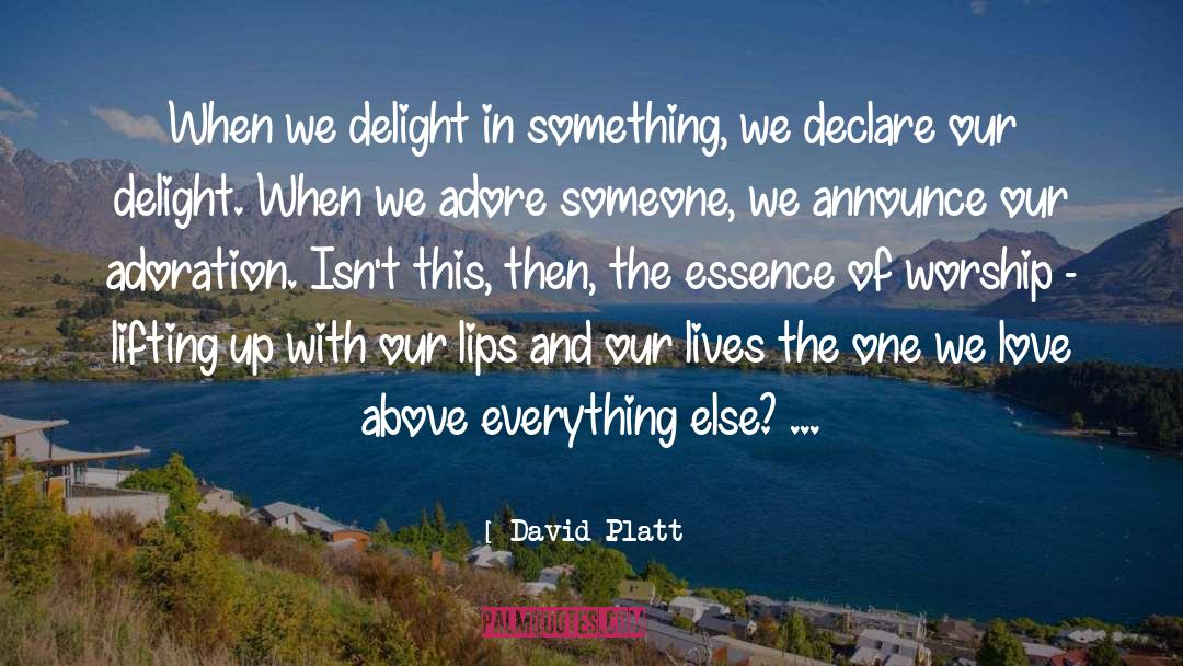 David Platt Quotes: When we delight in something,