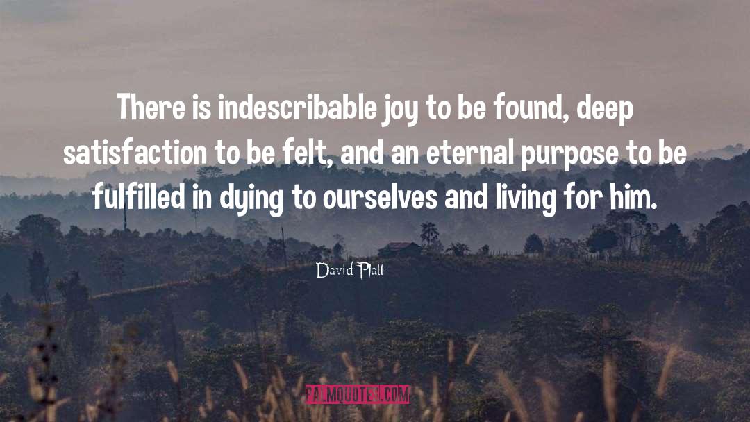 David Platt Quotes: There is indescribable joy to