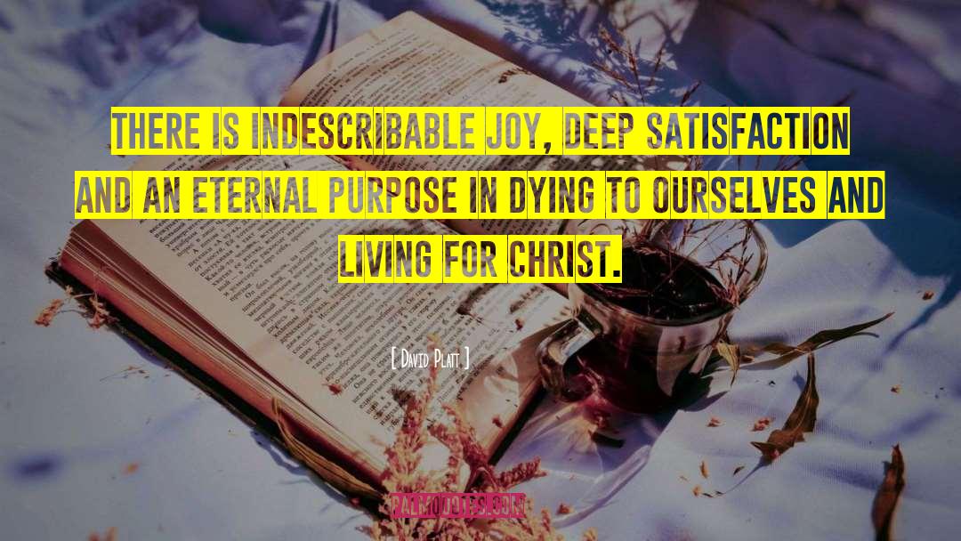 David Platt Quotes: There is indescribable joy, deep