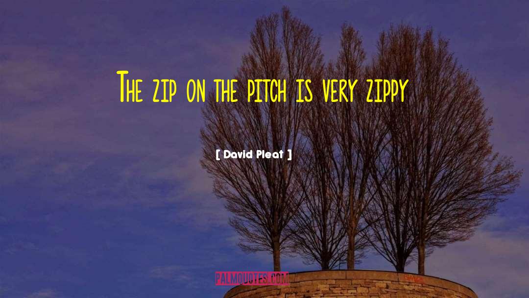 David Pleat Quotes: The zip on the pitch