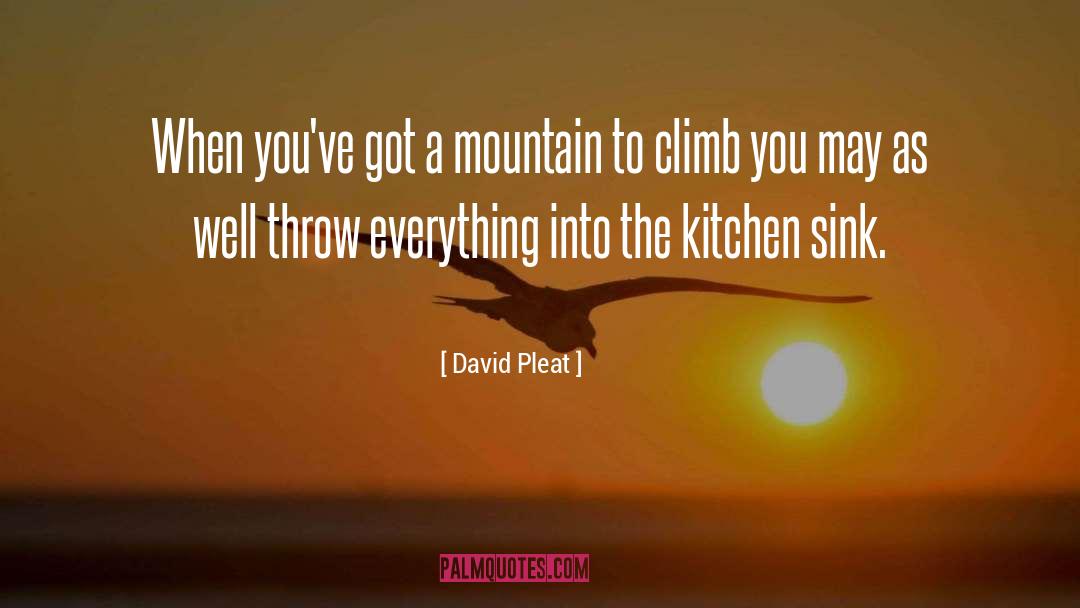 David Pleat Quotes: When you've got a mountain