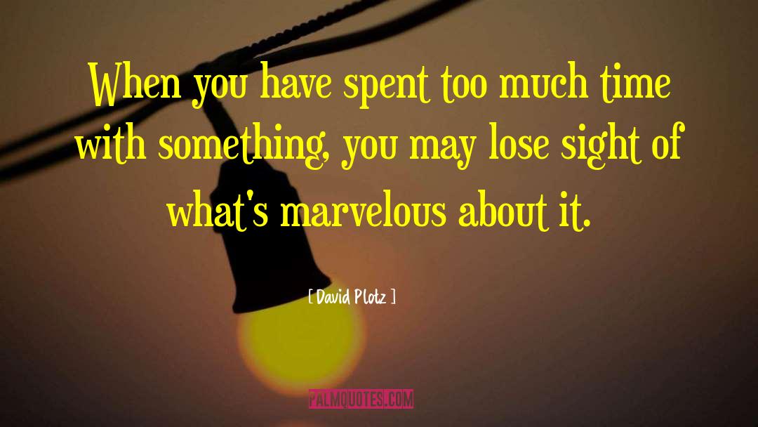 David Plotz Quotes: When you have spent too