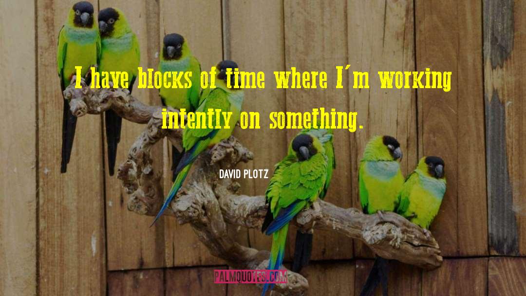 David Plotz Quotes: I have blocks of time