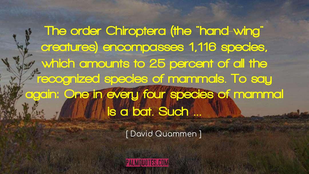 David Quammen Quotes: The order Chiroptera (the 