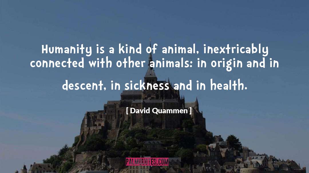 David Quammen Quotes: Humanity is a kind of