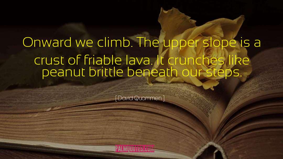 David Quammen Quotes: Onward we climb. The upper