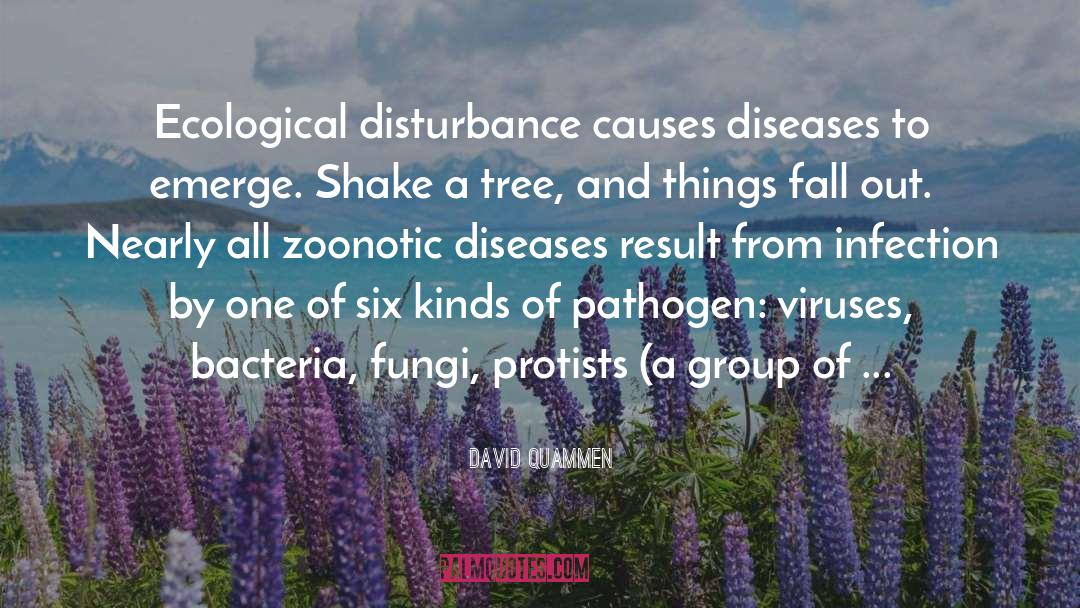 David Quammen Quotes: Ecological disturbance causes diseases to