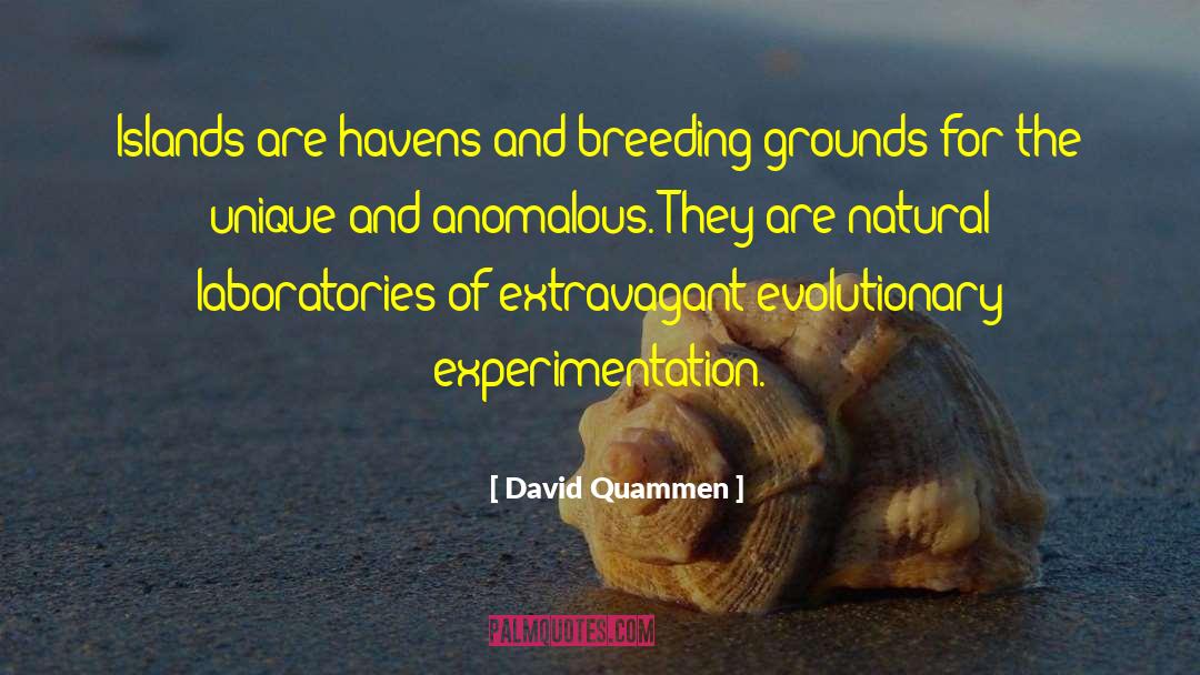 David Quammen Quotes: Islands are havens and breeding