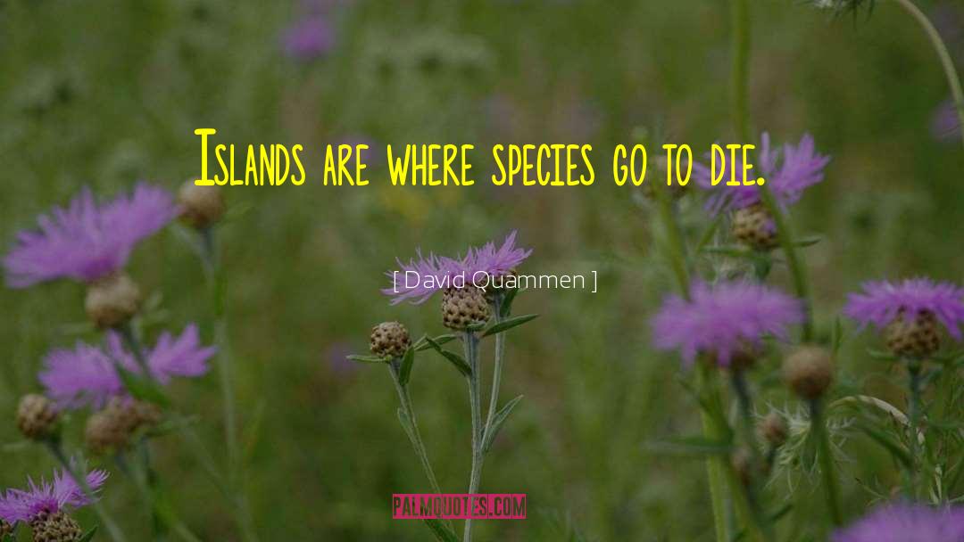 David Quammen Quotes: Islands are where species go