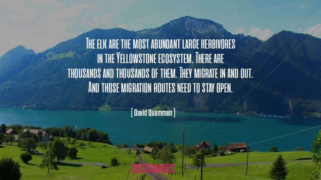 David Quammen Quotes: The elk are the most