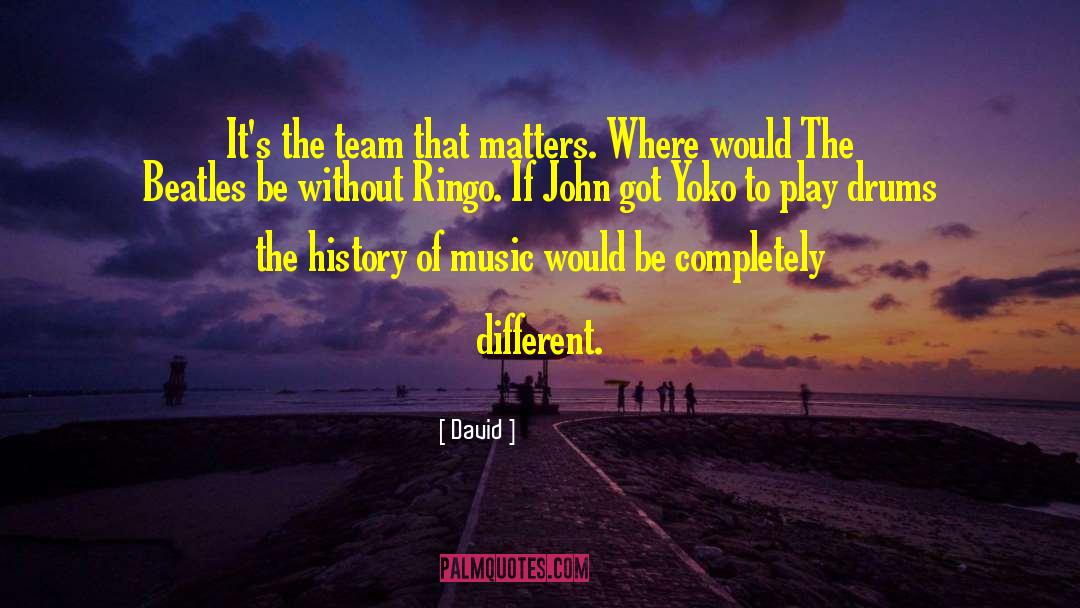 David Quotes: It's the team that matters.