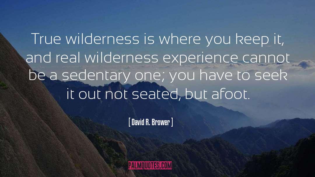 David R. Brower Quotes: True wilderness is where you