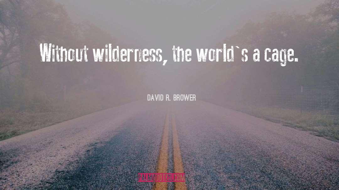 David R. Brower Quotes: Without wilderness, the world's a